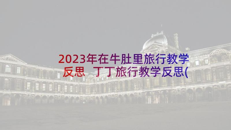 2023年在牛肚里旅行教学反思 丁丁旅行教学反思(模板5篇)