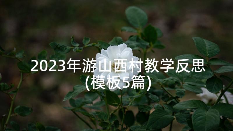 2023年游山西村教学反思(模板5篇)