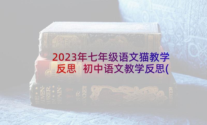 2023年七年级语文猫教学反思 初中语文教学反思(优质6篇)