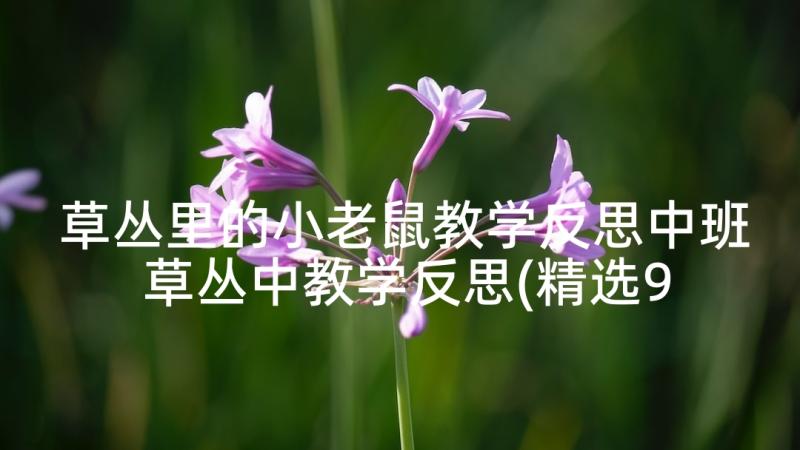 草丛里的小老鼠教学反思中班 草丛中教学反思(精选9篇)