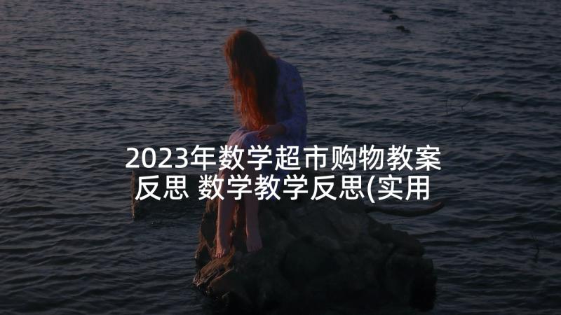 2023年数学超市购物教案反思 数学教学反思(实用9篇)