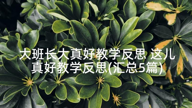 大班长大真好教学反思 这儿真好教学反思(汇总5篇)