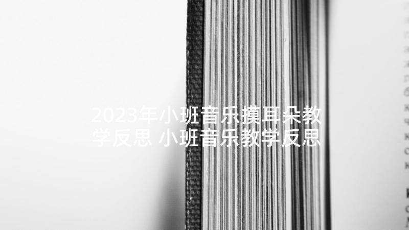 2023年小班音乐摸耳朵教学反思 小班音乐教学反思(大全8篇)