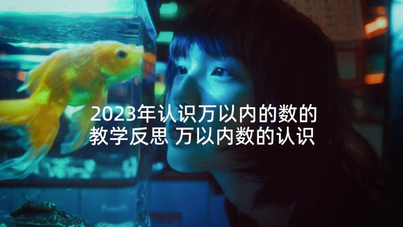 2023年认识万以内的数的教学反思 万以内数的认识教学反思(汇总5篇)