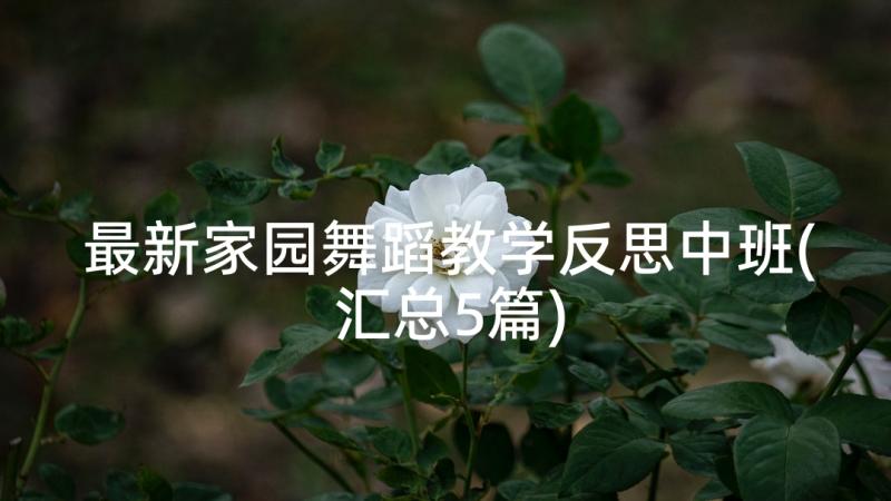 最新家园舞蹈教学反思中班(汇总5篇)