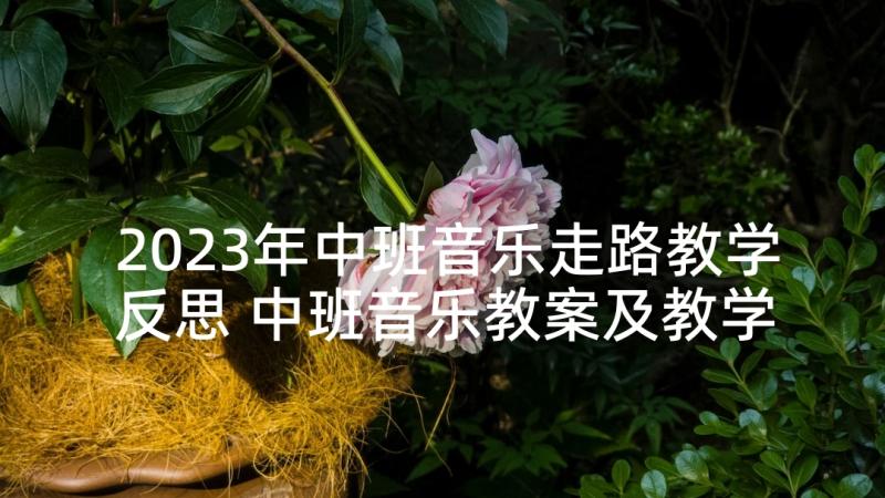 2023年中班音乐走路教学反思 中班音乐教案及教学反思(精选8篇)