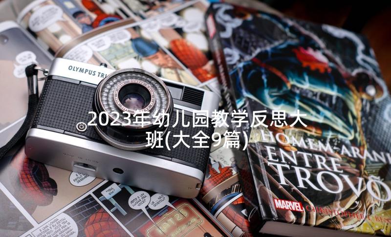 2023年幼儿园教学反思大班(大全9篇)