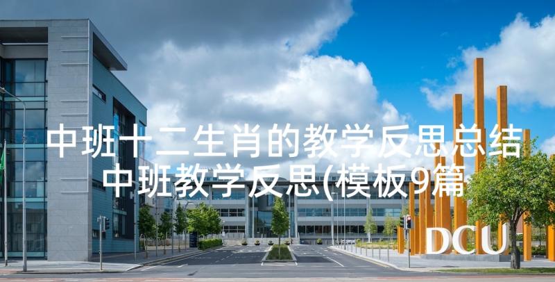 中班十二生肖的教学反思总结 中班教学反思(模板9篇)