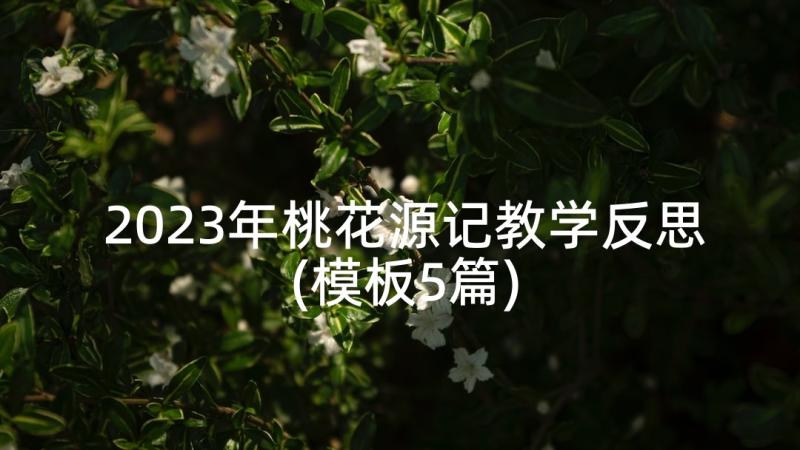 2023年桃花源记教学反思(模板5篇)