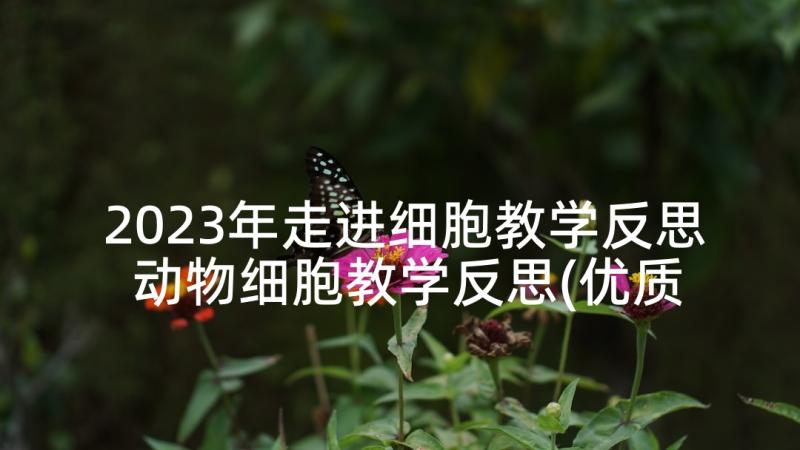 2023年走进细胞教学反思 动物细胞教学反思(优质6篇)