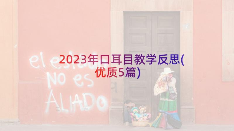 2023年口耳目教学反思(优质5篇)