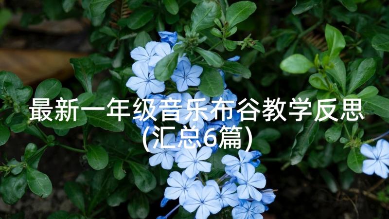 最新一年级音乐布谷教学反思(汇总6篇)