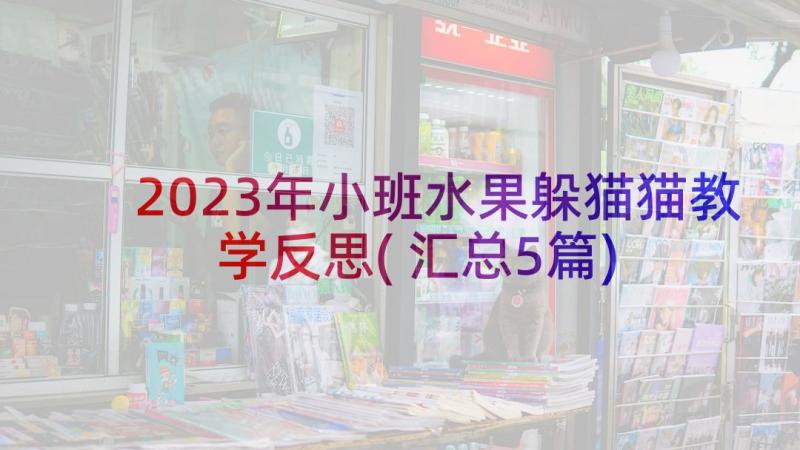 2023年小班水果躲猫猫教学反思(汇总5篇)