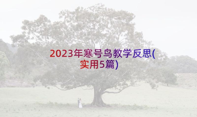 2023年寒号鸟教学反思(实用5篇)