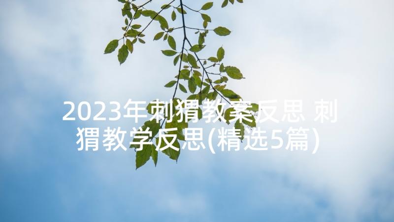 2023年刺猬教案反思 刺猬教学反思(精选5篇)