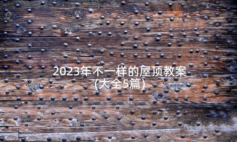 2023年不一样的屋顶教案(大全5篇)