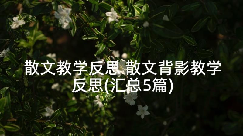 散文教学反思 散文背影教学反思(汇总5篇)