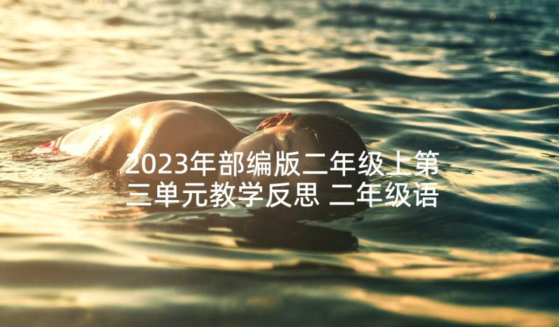 2023年部编版二年级上第三单元教学反思 二年级语文第六单元教学反思(精选8篇)