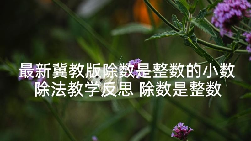 最新冀教版除数是整数的小数除法教学反思 除数是整数的小数除法的教学反思(精选5篇)