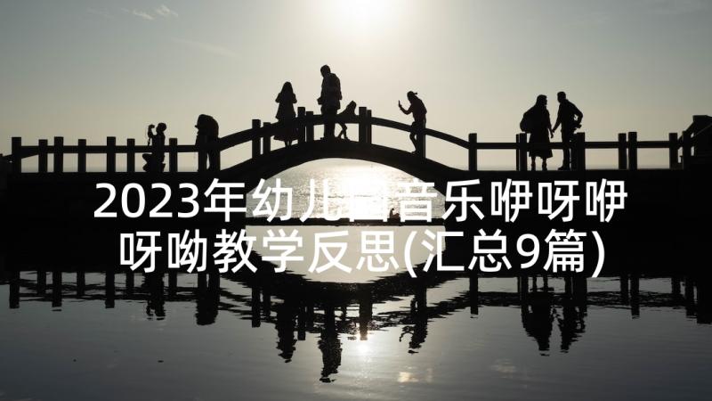 2023年幼儿园音乐咿呀咿呀呦教学反思(汇总9篇)