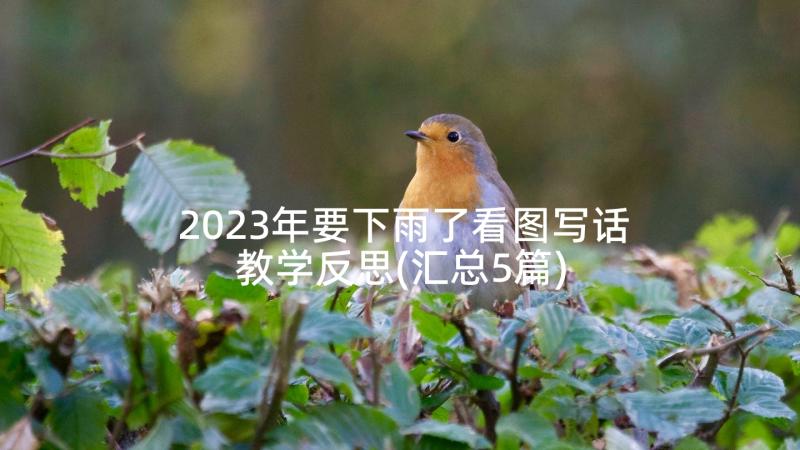 2023年要下雨了看图写话教学反思(汇总5篇)