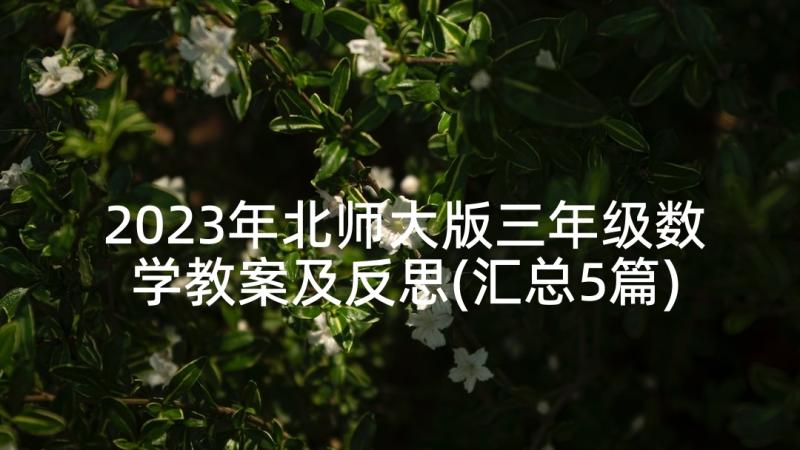 2023年北师大版三年级数学教案及反思(汇总5篇)