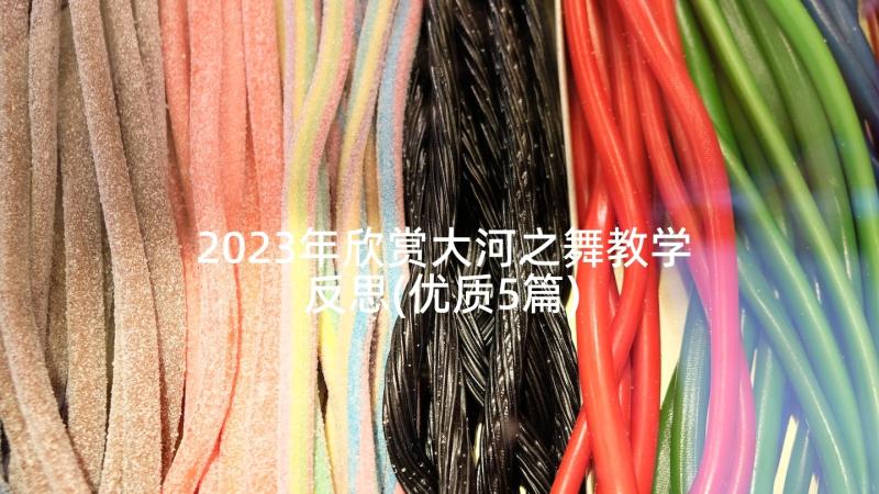 2023年欣赏大河之舞教学反思(优质5篇)