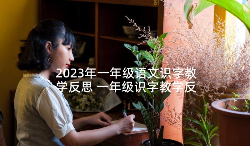 2023年一年级语文识字教学反思 一年级识字教学反思(模板5篇)