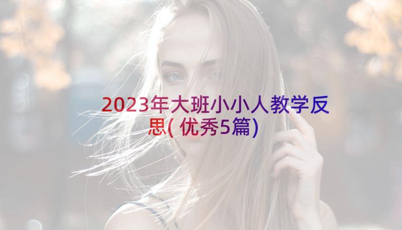 2023年大班小小人教学反思(优秀5篇)