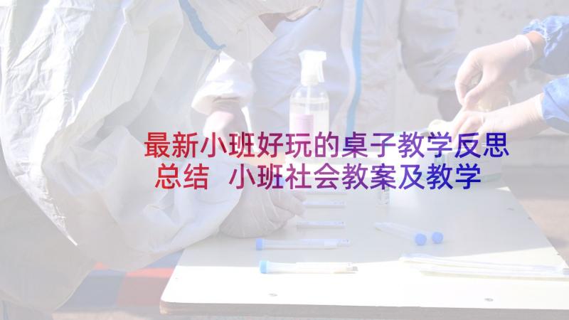 最新小班好玩的桌子教学反思总结 小班社会教案及教学反思电动玩具真好玩(优秀5篇)