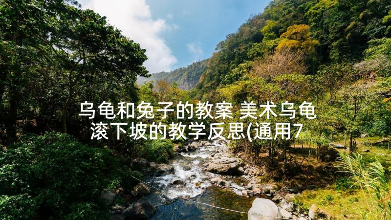 乌龟和兔子的教案 美术乌龟滚下坡的教学反思(通用7篇)