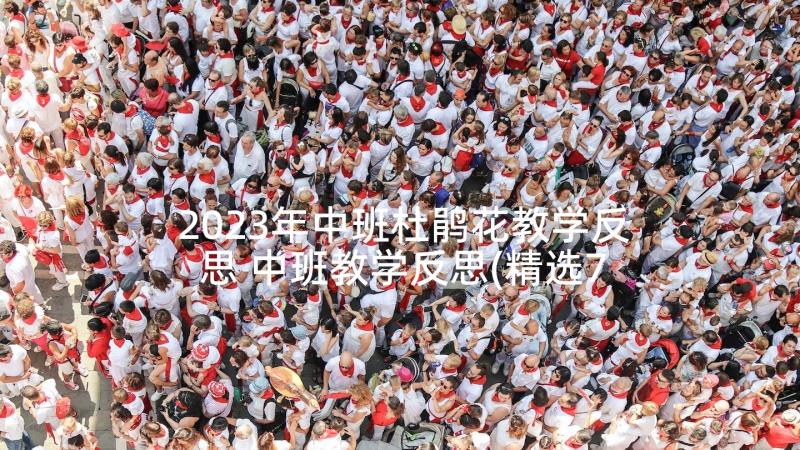 2023年中班杜鹃花教学反思 中班教学反思(精选7篇)