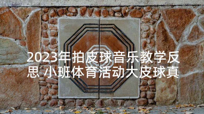 2023年拍皮球音乐教学反思 小班体育活动大皮球真好玩教案附教学反思(通用5篇)