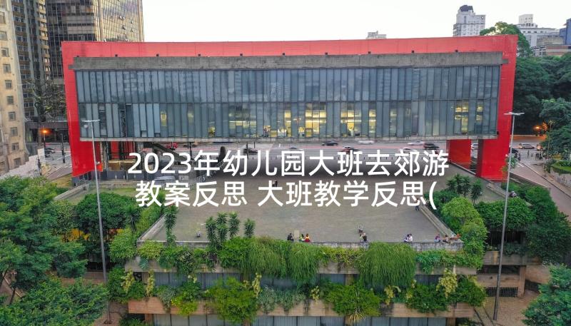 2023年幼儿园大班去郊游教案反思 大班教学反思(实用7篇)