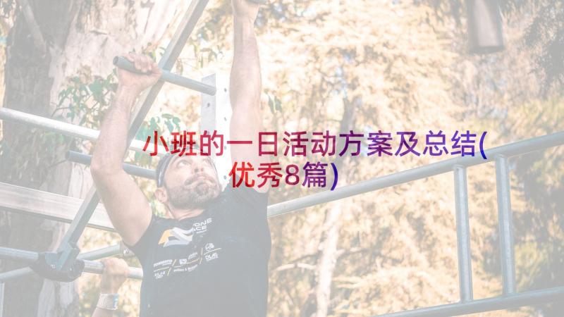 小班的一日活动方案及总结(优秀8篇)