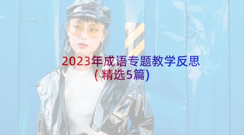 2023年成语专题教学反思(精选5篇)