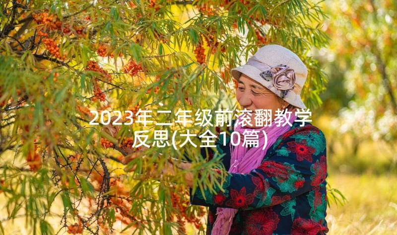 2023年二年级前滚翻教学反思(大全10篇)