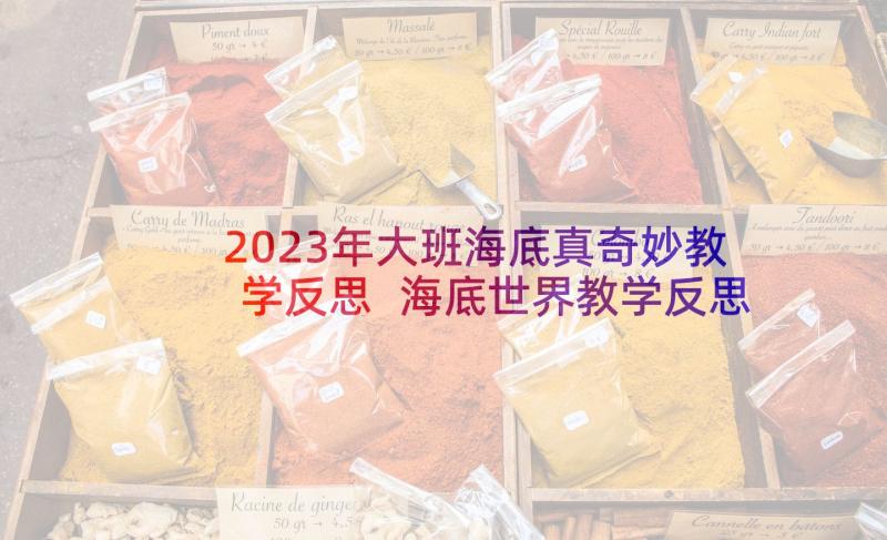 2023年大班海底真奇妙教学反思 海底世界教学反思(大全7篇)