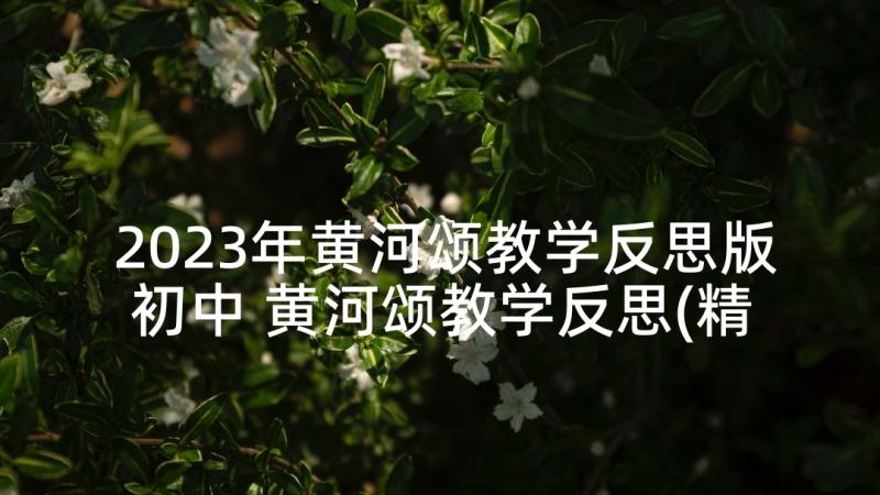 2023年黄河颂教学反思版初中 黄河颂教学反思(精选10篇)