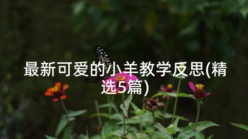 最新可爱的小羊教学反思(精选5篇)