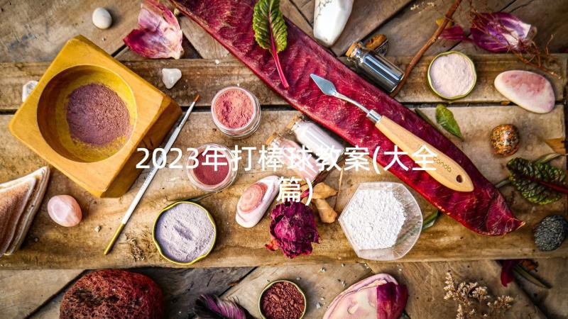 2023年打棒球教案(大全7篇)