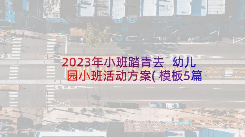 2023年小班踏青去 幼儿园小班活动方案(模板5篇)