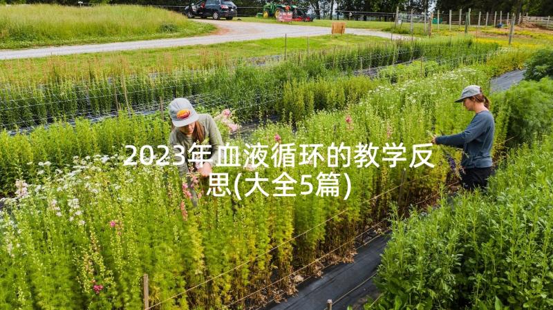 2023年血液循环的教学反思(大全5篇)