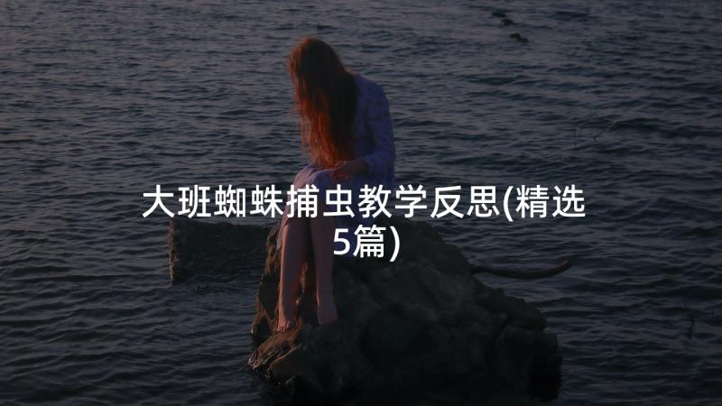 大班蜘蛛捕虫教学反思(精选5篇)