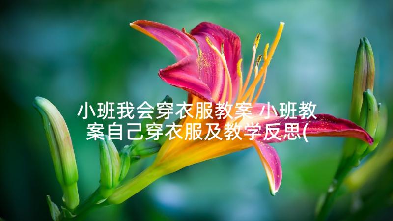 小班我会穿衣服教案 小班教案自己穿衣服及教学反思(通用5篇)