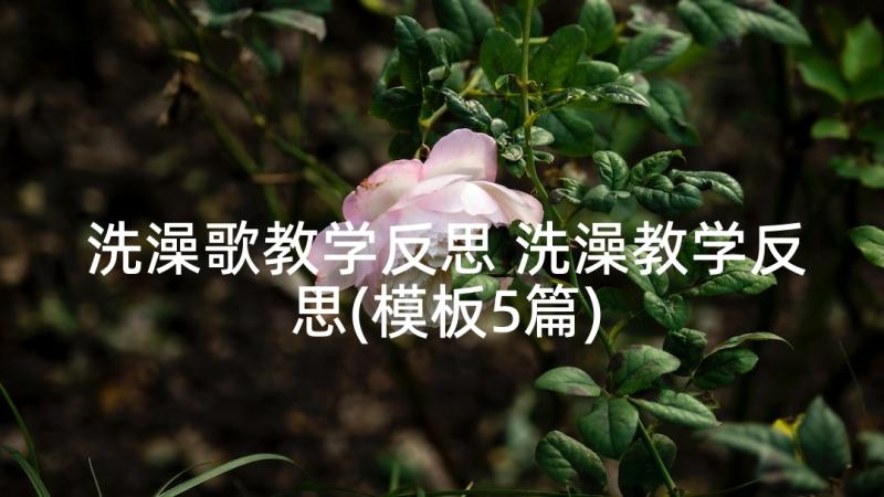 洗澡歌教学反思 洗澡教学反思(模板5篇)