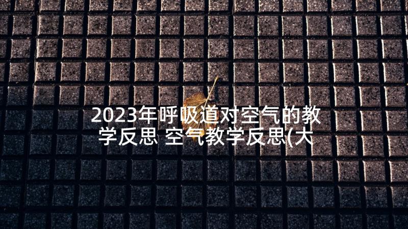 2023年呼吸道对空气的教学反思 空气教学反思(大全6篇)