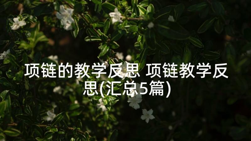 项链的教学反思 项链教学反思(汇总5篇)