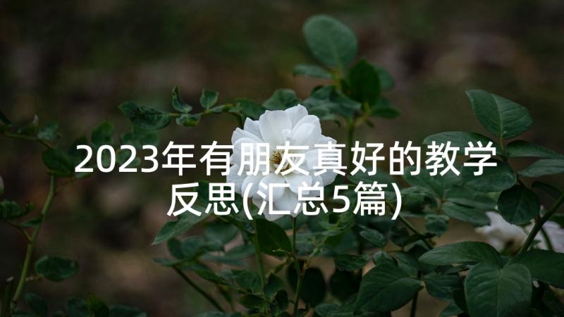 2023年有朋友真好的教学反思(汇总5篇)