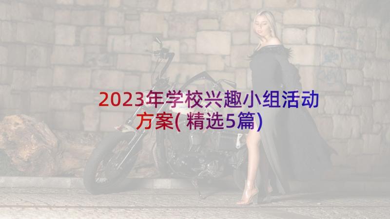 2023年学校兴趣小组活动方案(精选5篇)